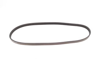 Dayco 4PK872