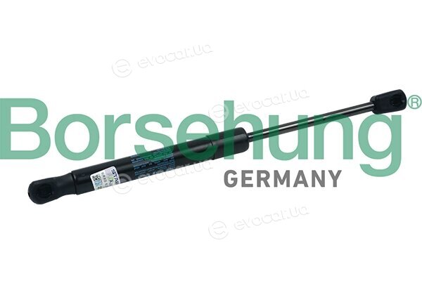 Borsehung B18437