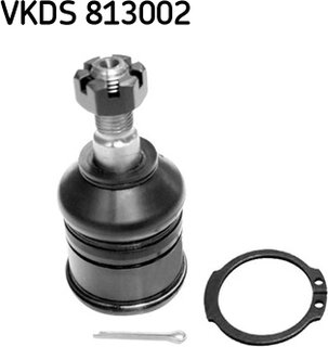 SKF VKDS 813002