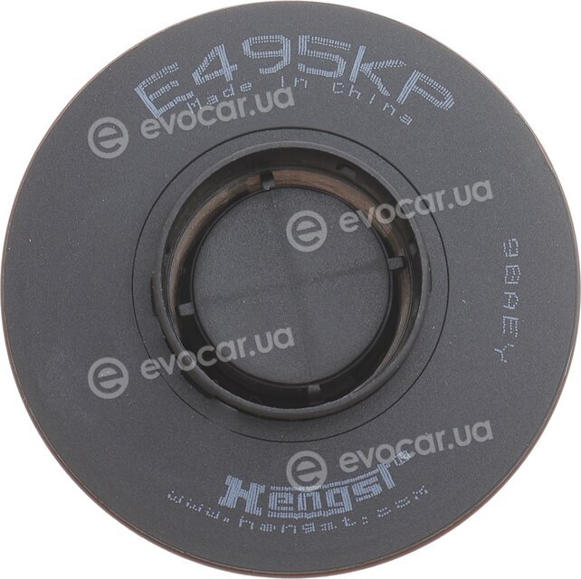 Hengst E495KP D534