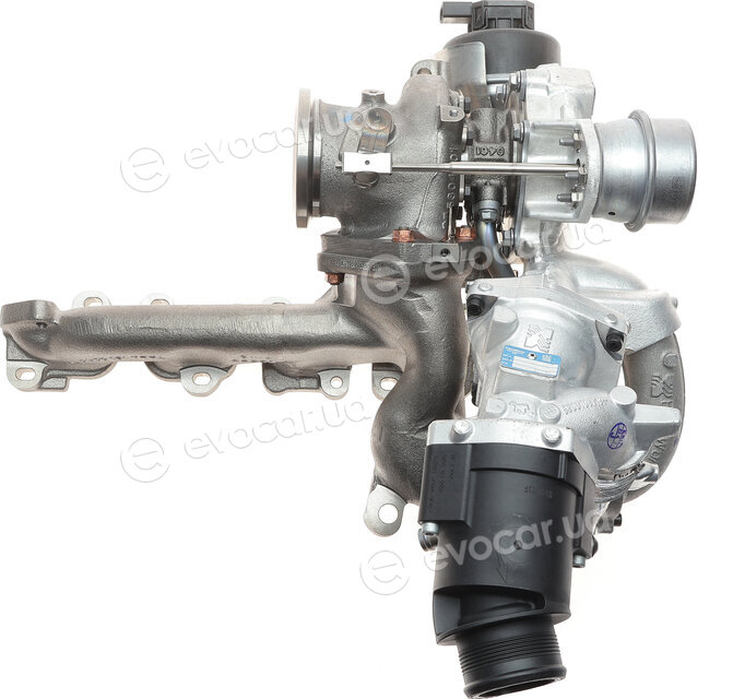 BorgWarner 10009880113