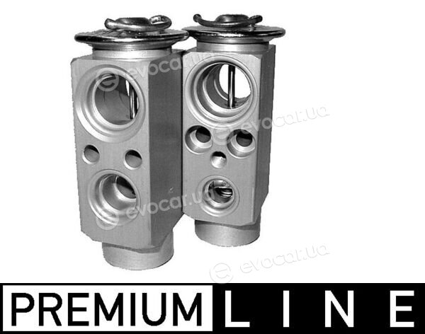 Mahle AVE 98 000P
