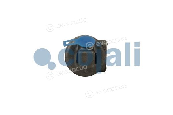 Cojali 2201301