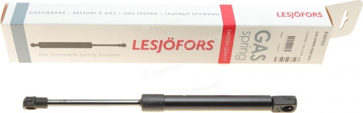 Lesjofors 8182912