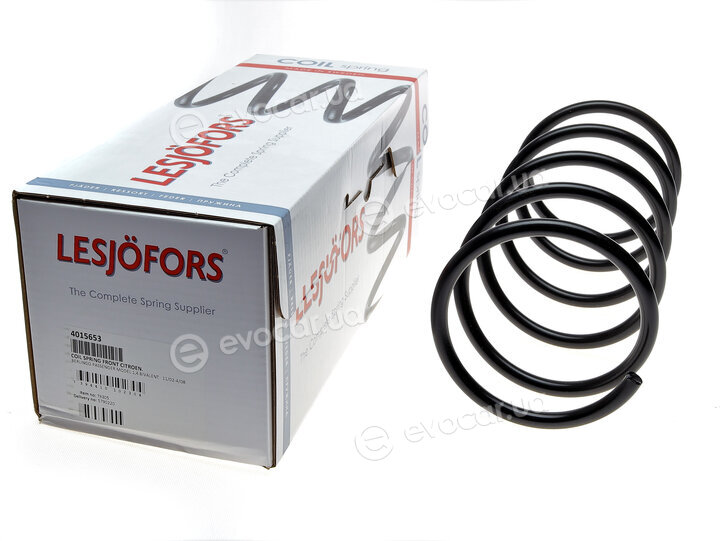 Lesjofors 4015653