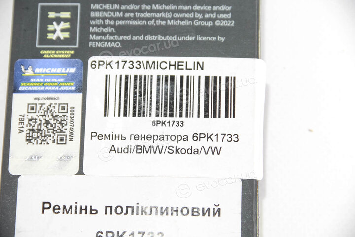 Michelin 6PK1733