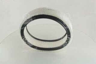 Champion CAF100716R