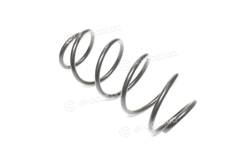 Lesjofors 4008521