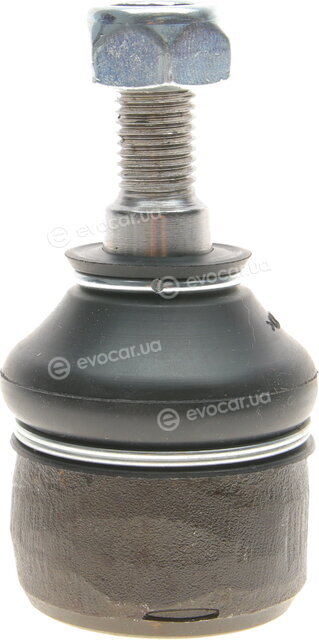 Solgy 206142