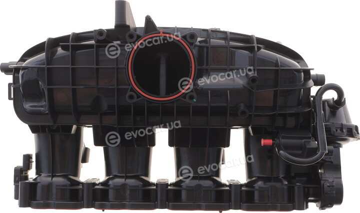 Solgy 114281