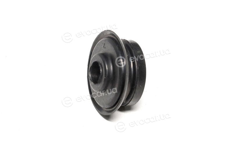 Sasic 2300044