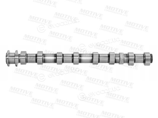 Motive T4439