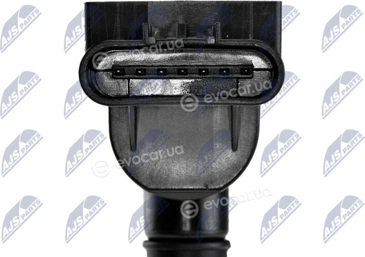 NTY ECZ-PL-029