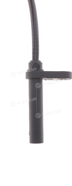 Solgy 220005