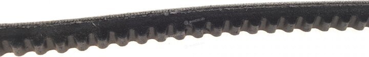 Dayco 10A0950C