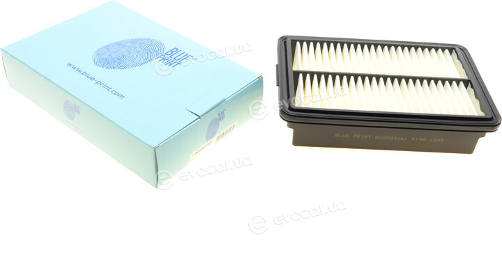 Blue Print ADG022161