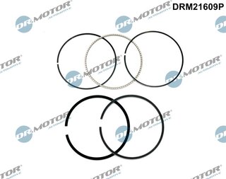 Dr. Motor DRM21609P