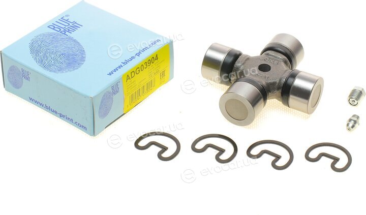 Blue Print ADG03904