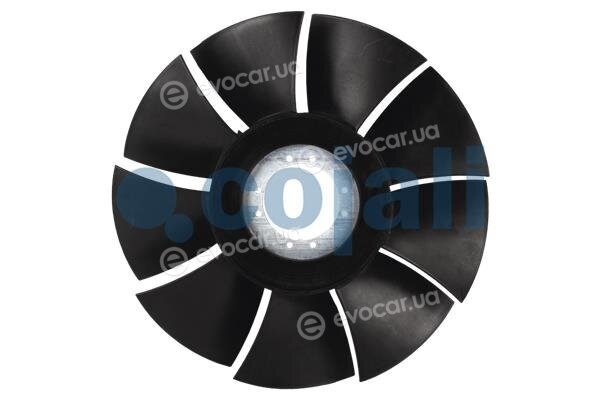 Cojali 7057126