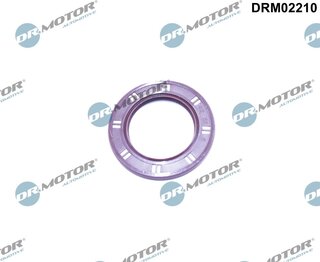 Dr. Motor DRM02210