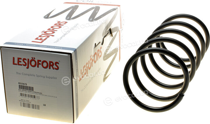 Lesjofors 4015672