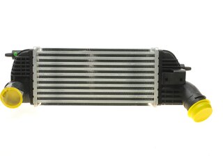 NRF 30319