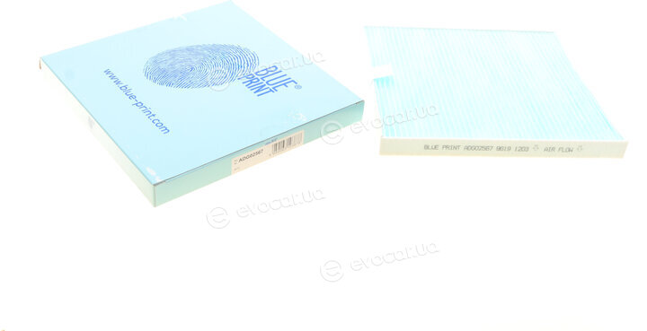 Blue Print ADG02567