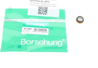 Borsehung B11897