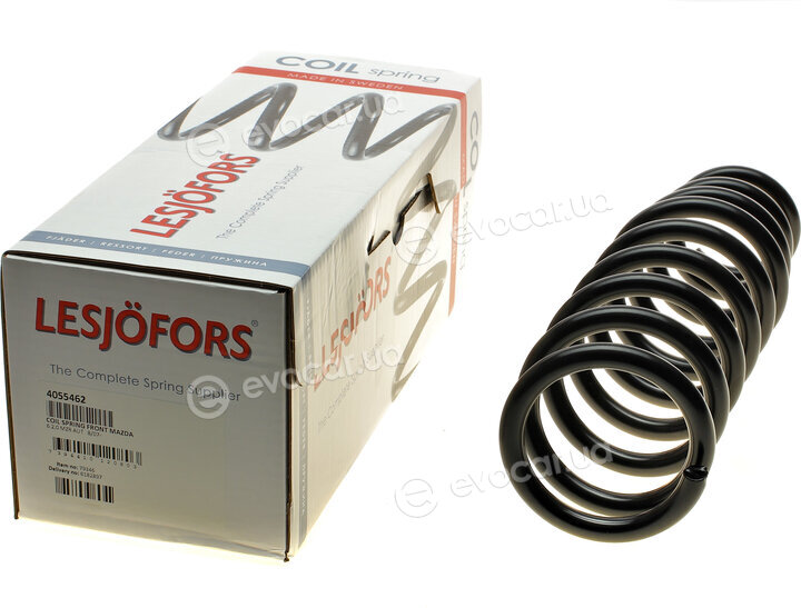 Lesjofors 4055462