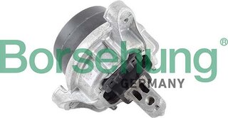 Borsehung B12605