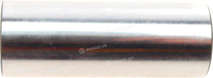 Mahle 029 55 01