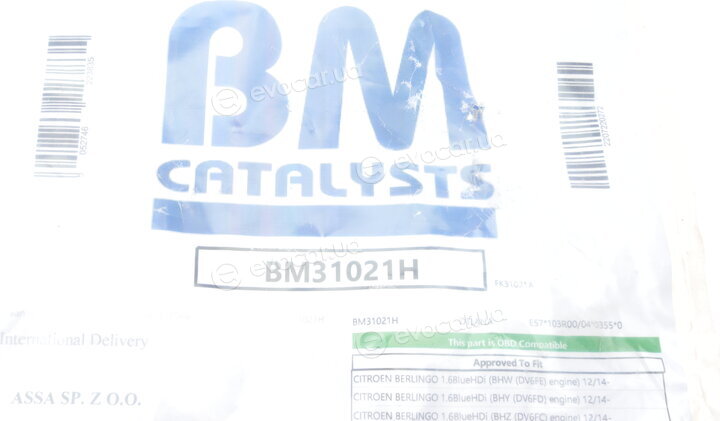 BM Catalysts BM31021H