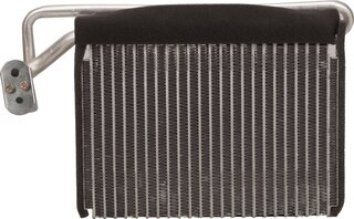 Bapmic TOPT1254001