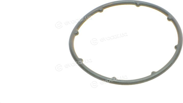 Elring 631.880