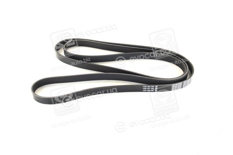 Dayco 6PK2465