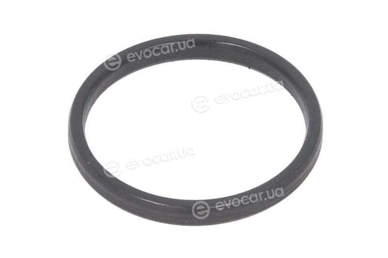 Elring 240.190