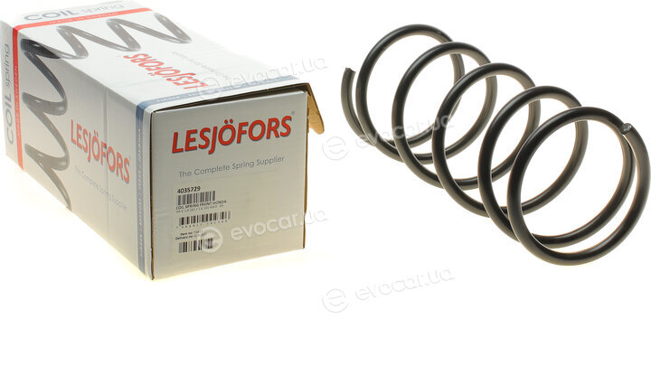 Lesjofors 4035729