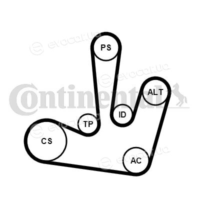 Continental 6PK1795K1