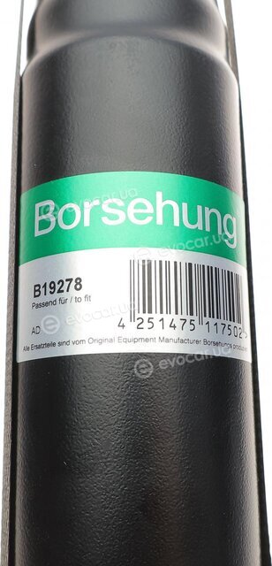 Borsehung B19278