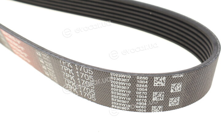 Gates 7PK1705