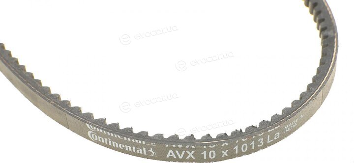 Continental AVX10X1013