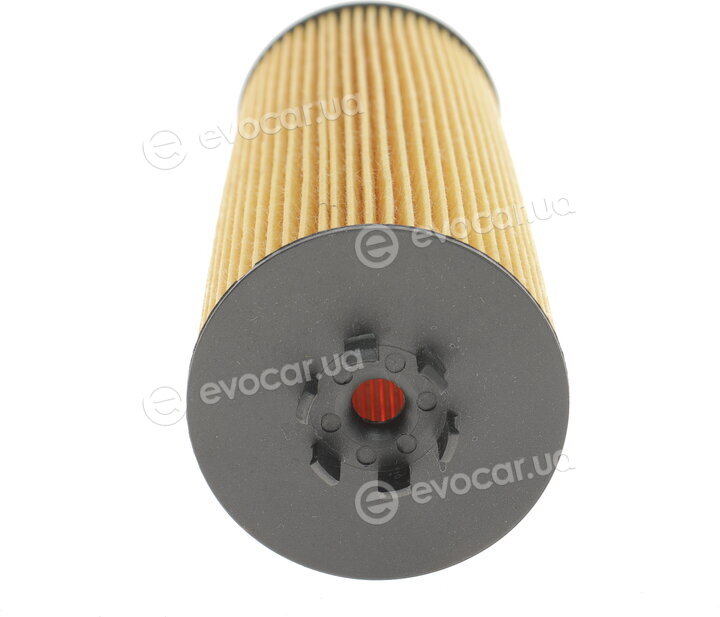 Solgy 101023