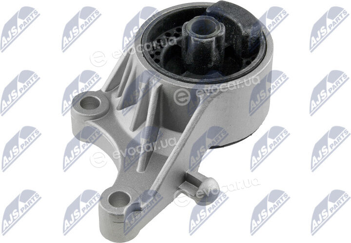 NTY ZPS-PL-036