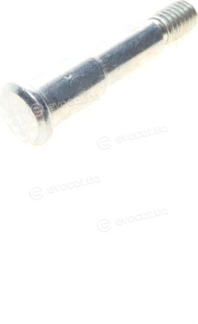 AIC 55888