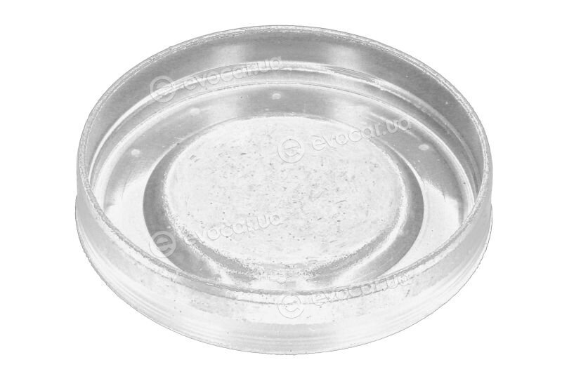 Mopar (PSA / FCA) 55189807