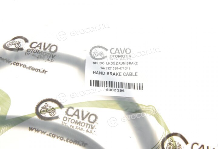 Cavo 6002 296