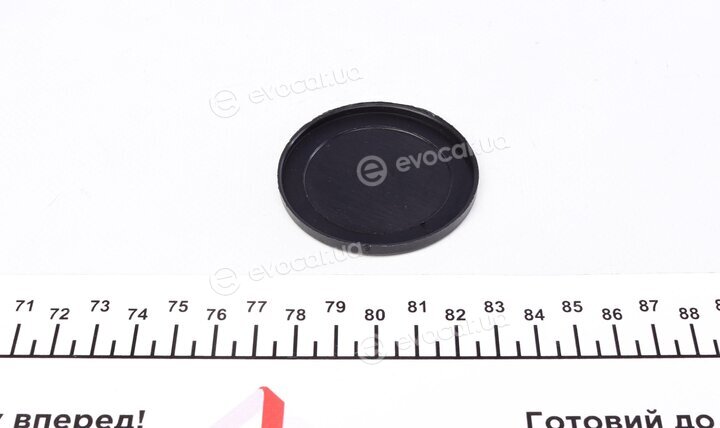 Dayco APV2136