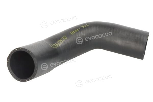 Thermotec DCR246TT