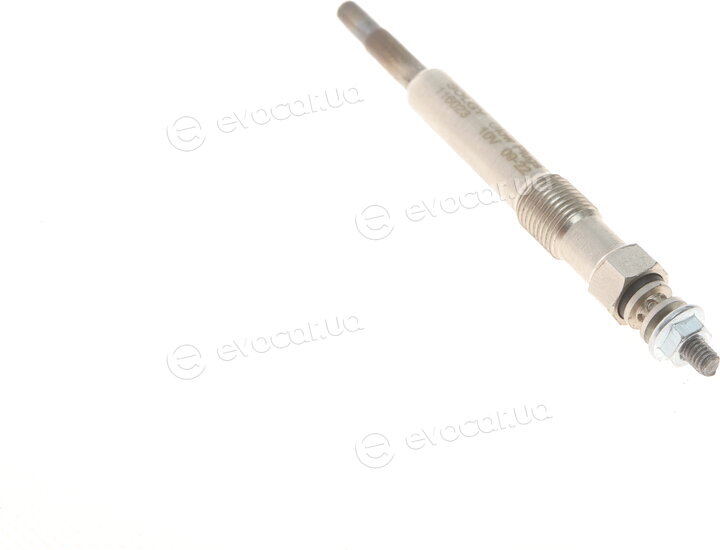 Solgy 116023