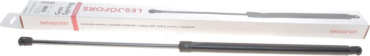 Lesjofors 8195097